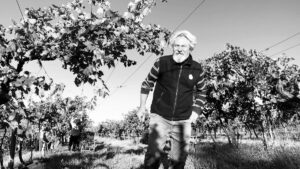 Read more about the article Filippo Filippi, breaking new ground in Soave  