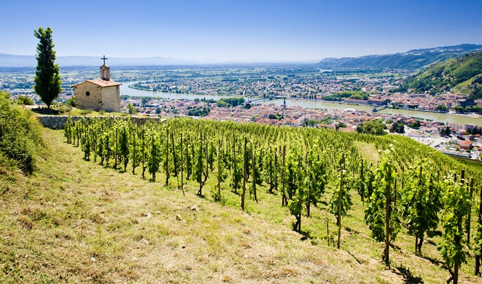 grand cru vineyard and Chapel of St. Christopher, Hermitage