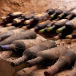 What is the Perfect Cellar Temperature to Store Wine? Debunking the 14°C Myth.