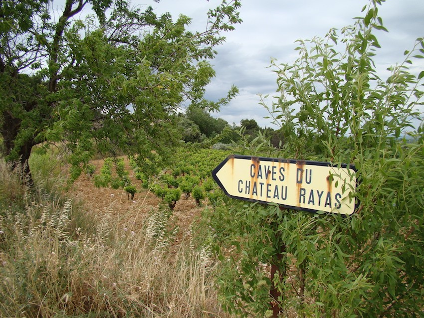 Read more about the article The Long Read: The Legendary Wines of Emmanuel Reynaud