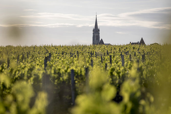 la conseillante vineyards in Pomerol