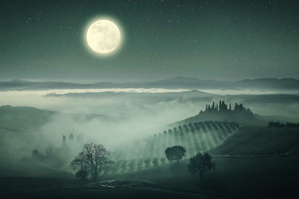 The moon rising over vineyards