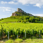 February 2024 Auctions Report | Record: a Mâconnais wine surpasses the €1,000 mark!