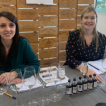 How to taste wine like a pro?