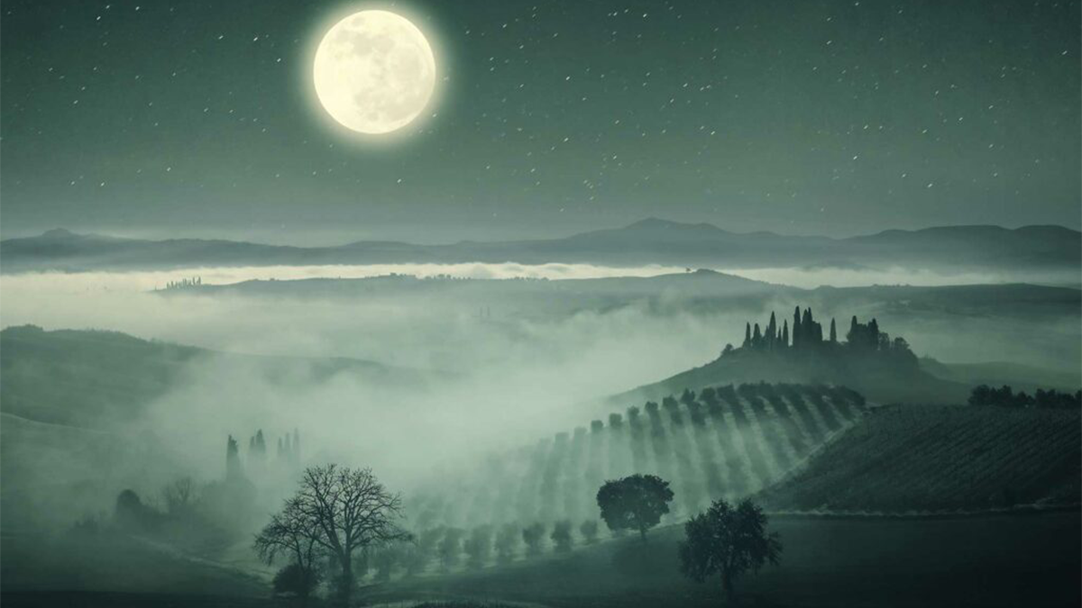 Read more about the article Why do biodynamic winemakers follow the lunar calendar?