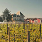 Château l’Évangile | Pomerol’s iconic jewel in Barons de Rothschild’s crown