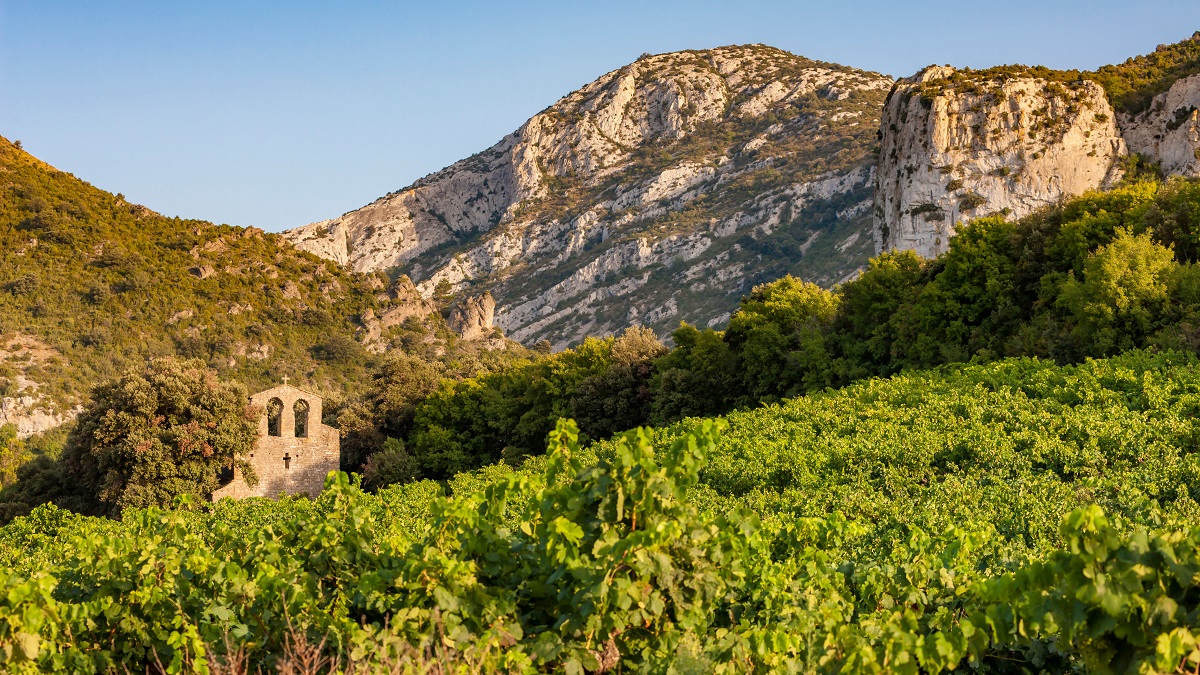 Read more about the article Major upheaval in Roussillon: Two great estates change hands