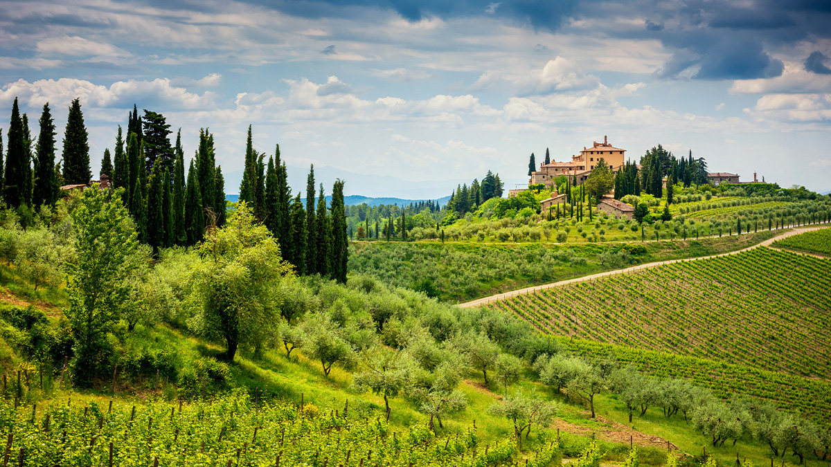 Read more about the article Is Tuscany the new Bordeaux?