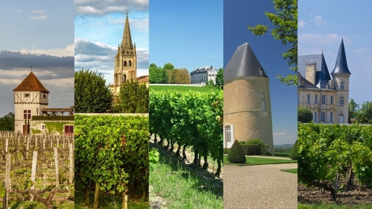 Read more about the article Bordeaux | Right Bank vs Left Bank, what’s the difference?