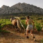 Domaine du Clos des Fées | Magical wines from the Roussillon