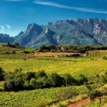 Languedoc: A region of icons and yet-to-be-discovered gems
