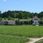 En Primeur 2023 | Vintage analysis and top picks from Pessac-Léognan