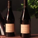 June 2024 Auction Report | Cécile Tremblay, La Tâche, Brézé, Aurélien Lefort, La Mouline…