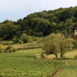Everything you need to know about the Côte Chalonnaise – Part 2