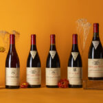 The Legendary Wines of Emmanuel Reynaud and a Special Catalogue