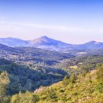 Spanish fine wine – the iDealwine guide