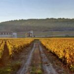 Burgundy Grand Crus: Clos de Vougeot, its history and characteristics