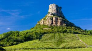 Read more about the article Pouilly-Fumé vs Pouilly-Fuissé: What’s the difference?