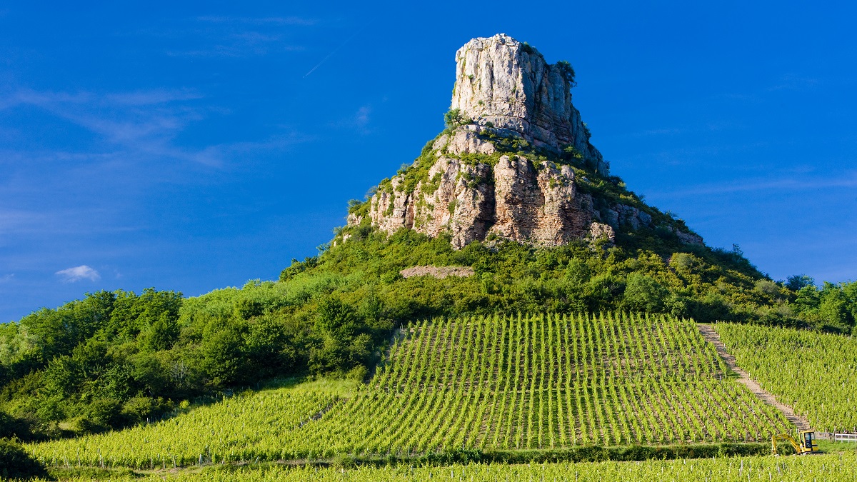 Read more about the article Pouilly-Fumé vs Pouilly-Fuissé: What’s the difference?