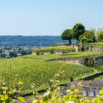 Should you buy 2021 Bordeaux wines?