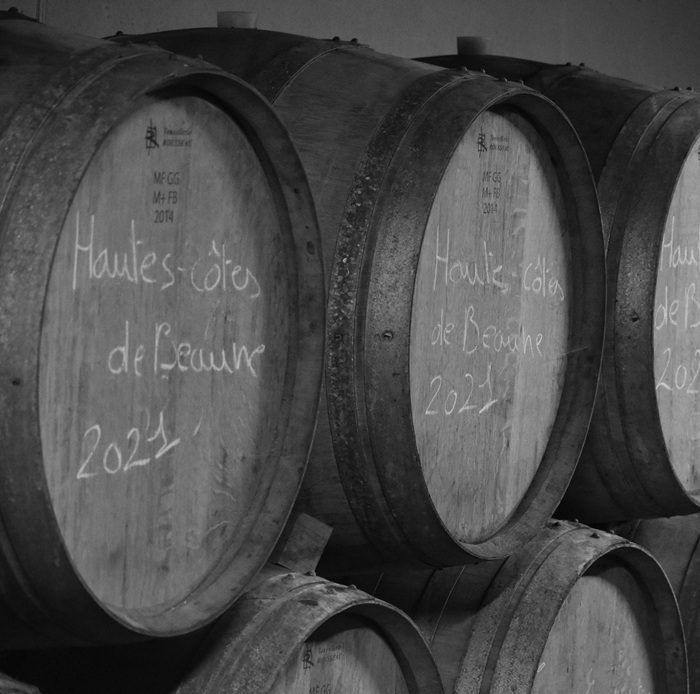 Maison A&S wine barrels