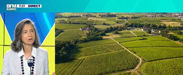 Angélique de Lencquesaing talking about wine trends on television with an image of vineyards projected next to her