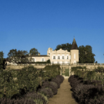 2024 En Primeur | Vintage analysis and top picks from Médoc