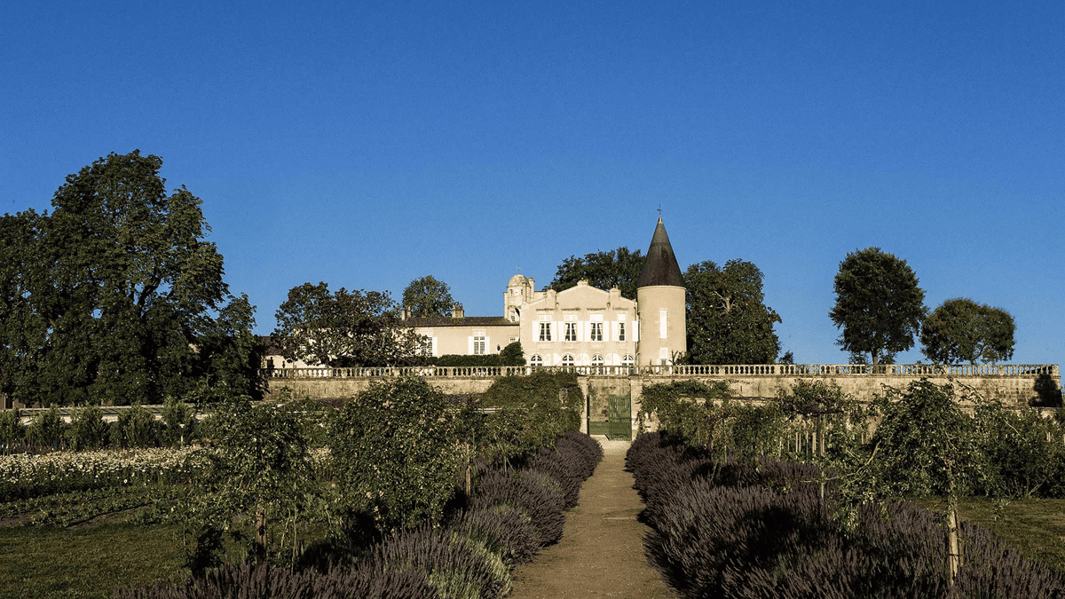 Read more about the article 2024 En Primeur | Vintage analysis and top picks from Médoc