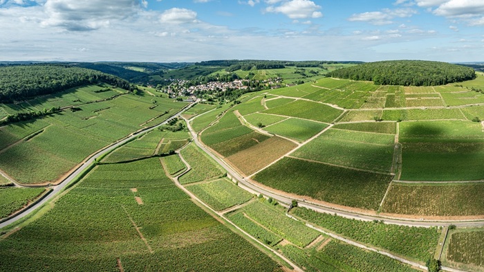 vines growing on hillsides in a U-shaped valley in Burgundy