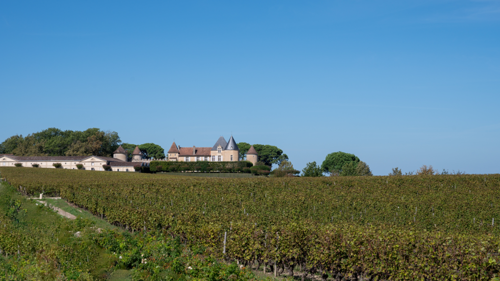 Autumn vines in the foreground with a Bordeaux Chateau in the backgraound