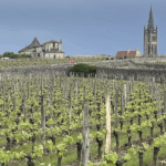 2024 En Primeurs | Wines to drink young?