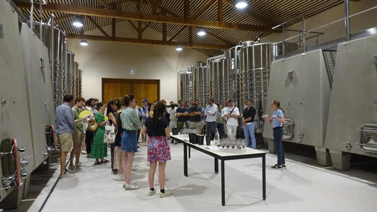 iDealwine Chateau des Jacques vat room