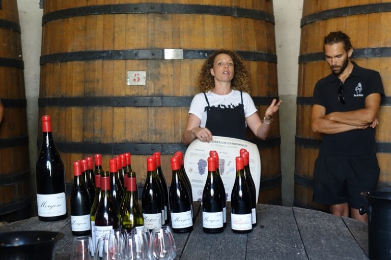 iDealwine tasting at Marcel Lapierre