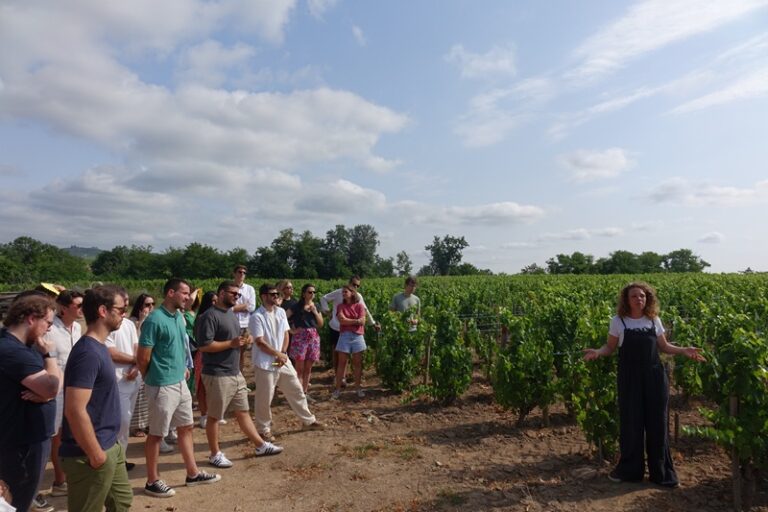 the iDealwine team at Marcel Lapierre in the vines