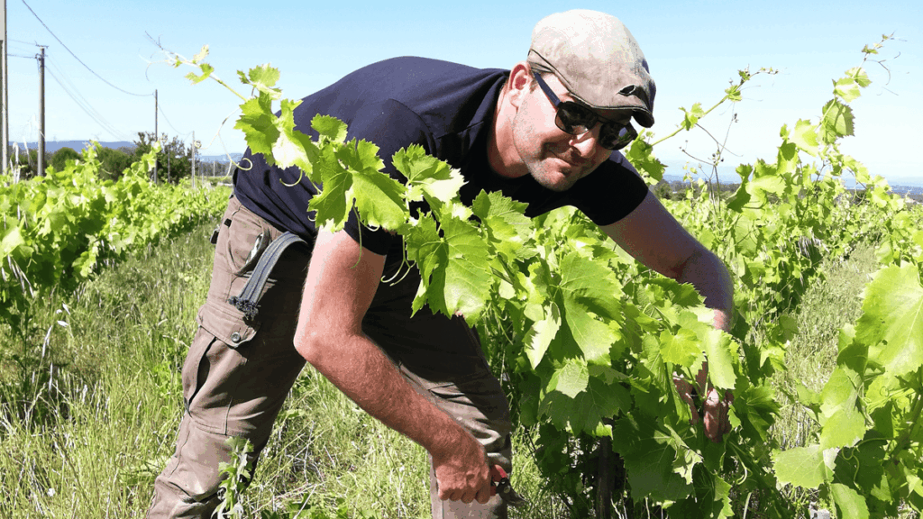 Romain Le Bars working on his wines at his estate
