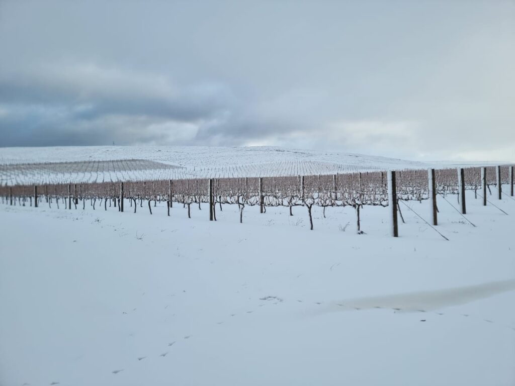 Snow at Ceres Plateau - Damascene