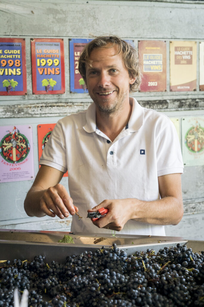 Félix Debavelaere handling grapes