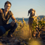 Damascene – South African wines that let the vineyard do the talking