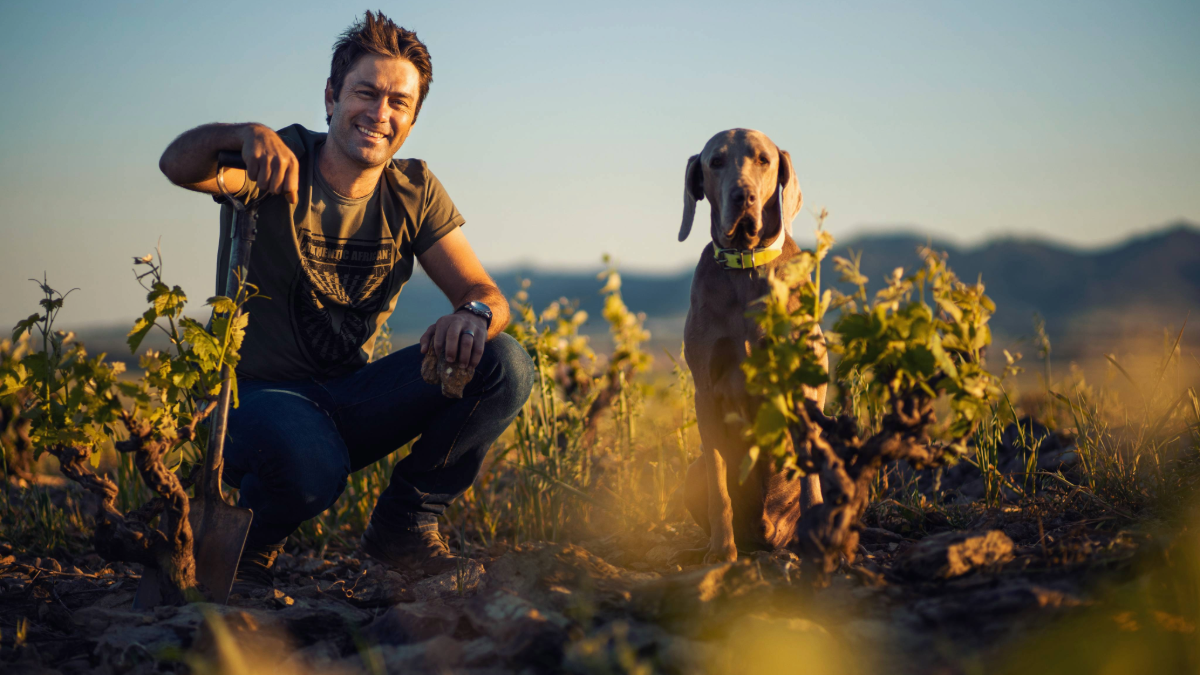 Read more about the article Damascene – South African wines that let the vineyard do the talking