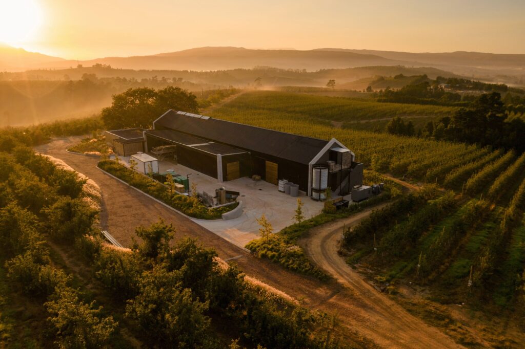 Damascene winery  