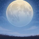 Lunar wines for a Lunar celebration