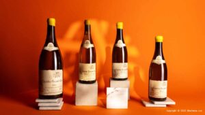 Read more about the article Our rankings of the best Chablis wines