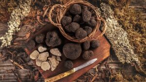 Read more about the article What wine to serve alongside black truffles?