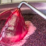 What is carbon and semi-carbonic maceration?