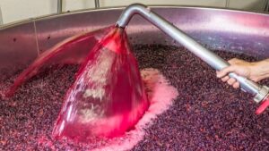 Read more about the article What is carbon and semi-carbonic maceration?