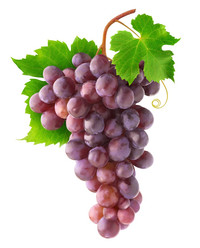 A bunch of Pink Chardonnay grapes