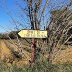 Emmanuel Reynaud, the Châteauneuf-du-Pape legend, dies