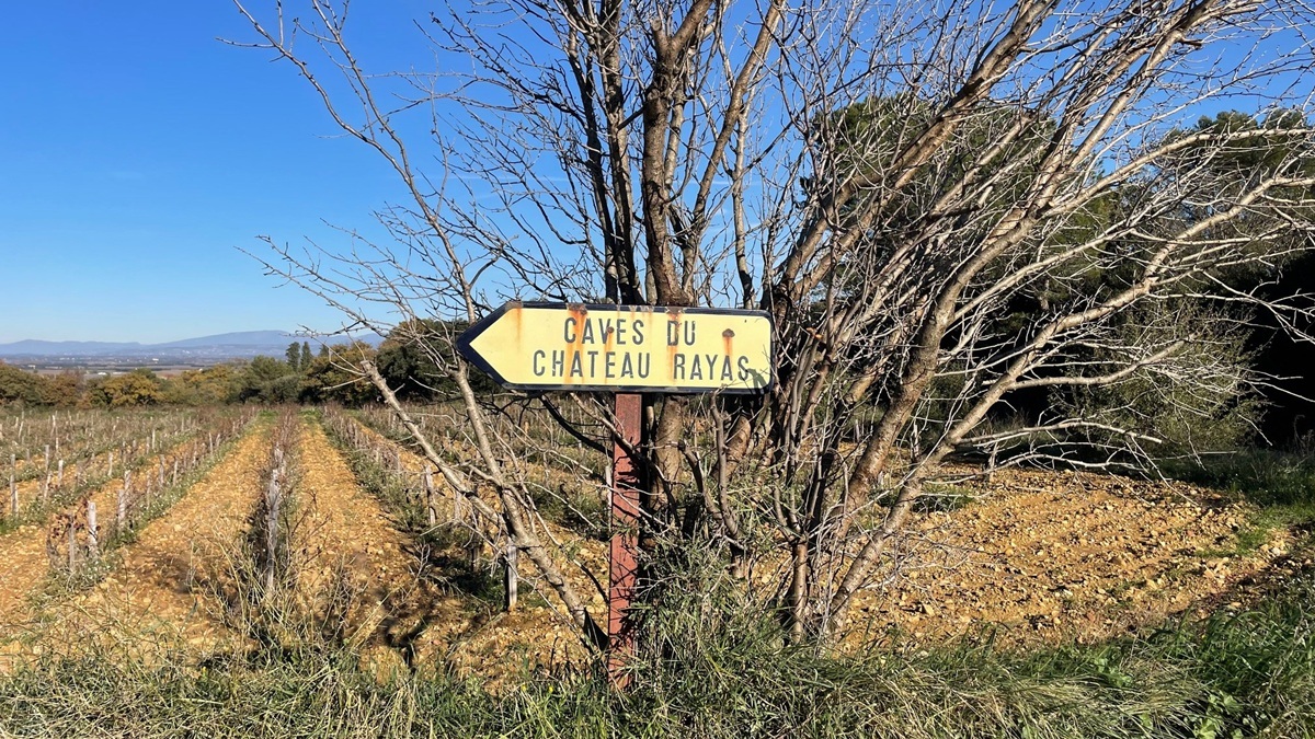 Read more about the article Emmanuel Reynaud, the Châteauneuf-du-Pape legend, dies