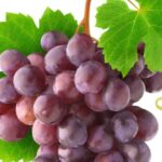 Pink Chardonnay joins the Champagne AOC