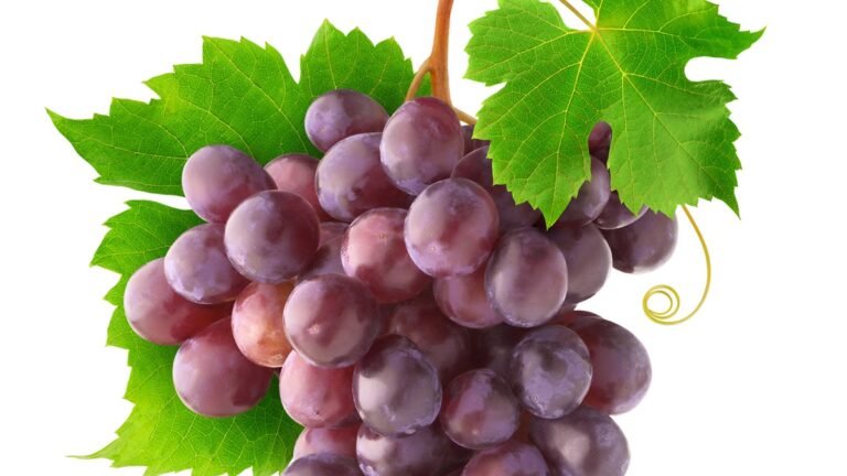 Read more about the article Pink Chardonnay joins the Champagne AOC